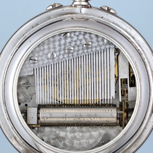 Large Musical Silver Hunter View 4