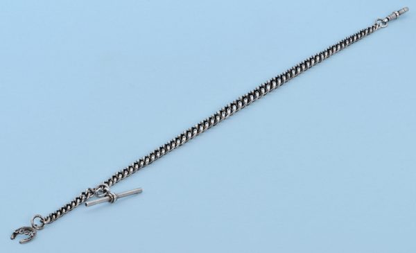 Silver Albert and Horseshoe Charm View 2