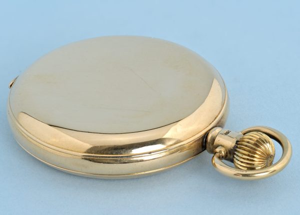 Swiss Gold Full Hunter View 3