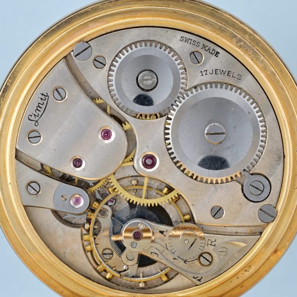 Swiss Gold Full Hunter View 5